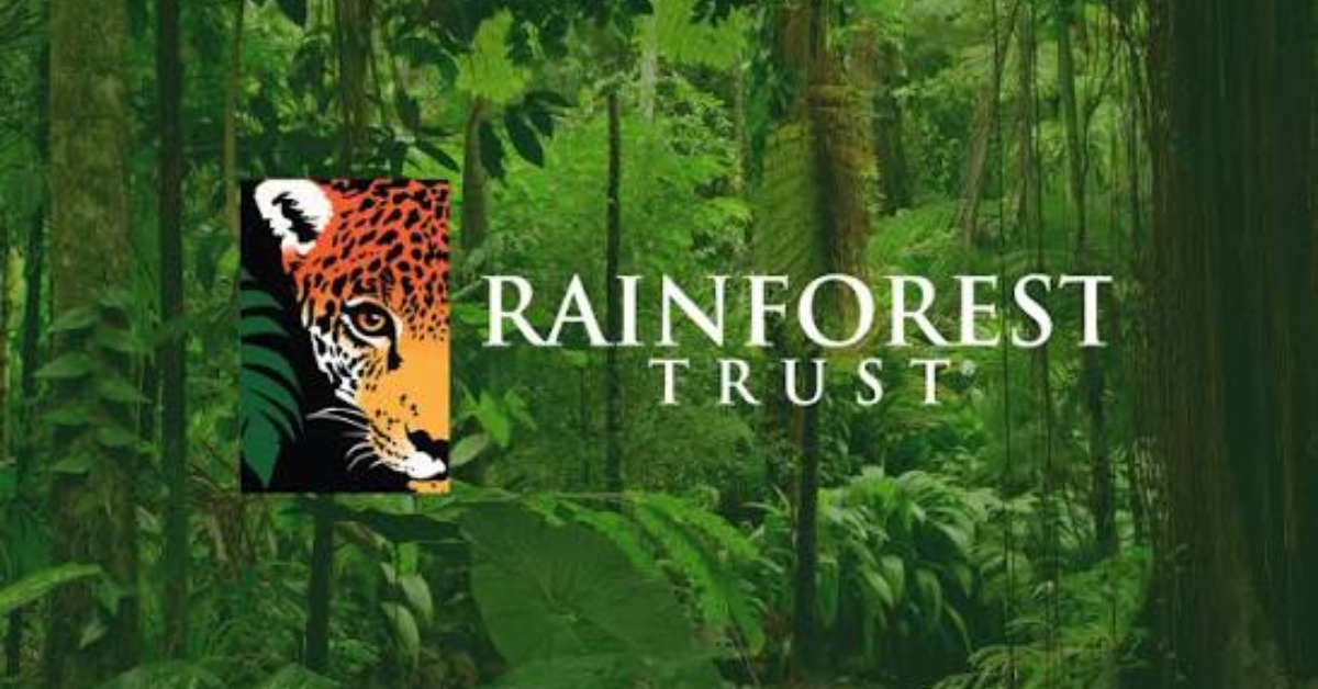 Rainforest Trust Conservation Grants Associate