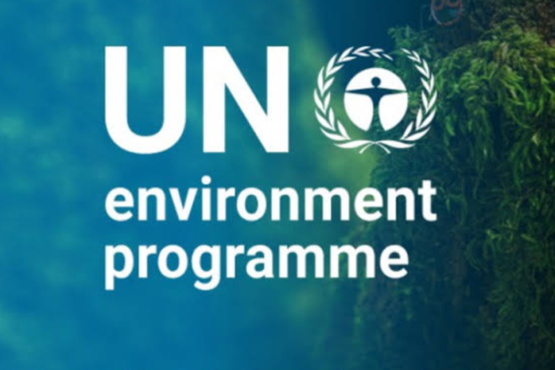 UNEP Finance Initiative Policy Internship 2026: Applications Close on 21 October