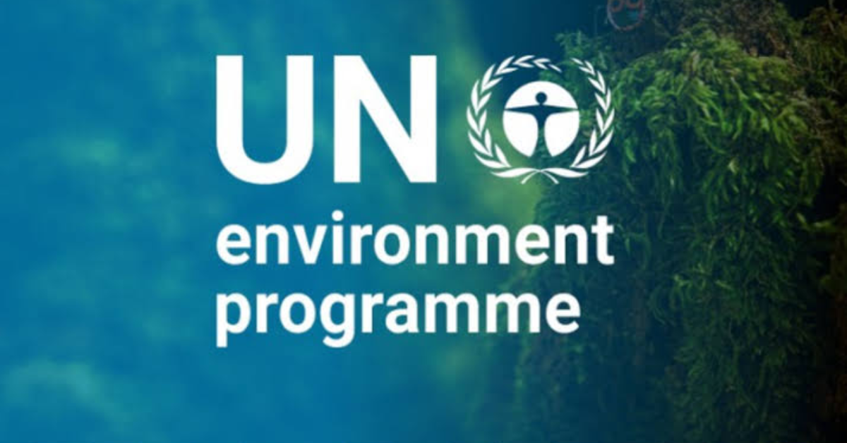 UNEP Finance Initiative Africa and Middle East Internship 2026