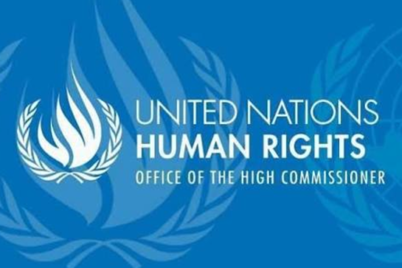 OHCHR Internship with the UPR Branch 2026: Apply Before the 22 October Deadline