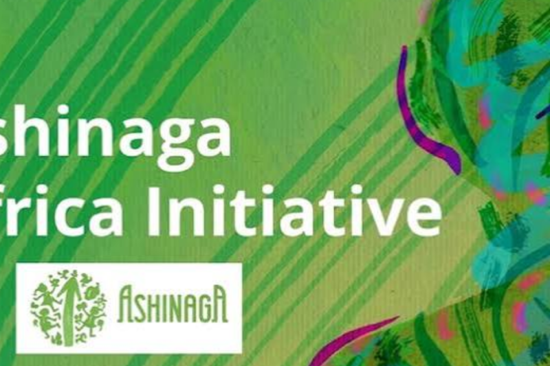 Ashinaga Africa Initiative Scholarship 2026: Fully Funded Undergraduate Study in Brazil