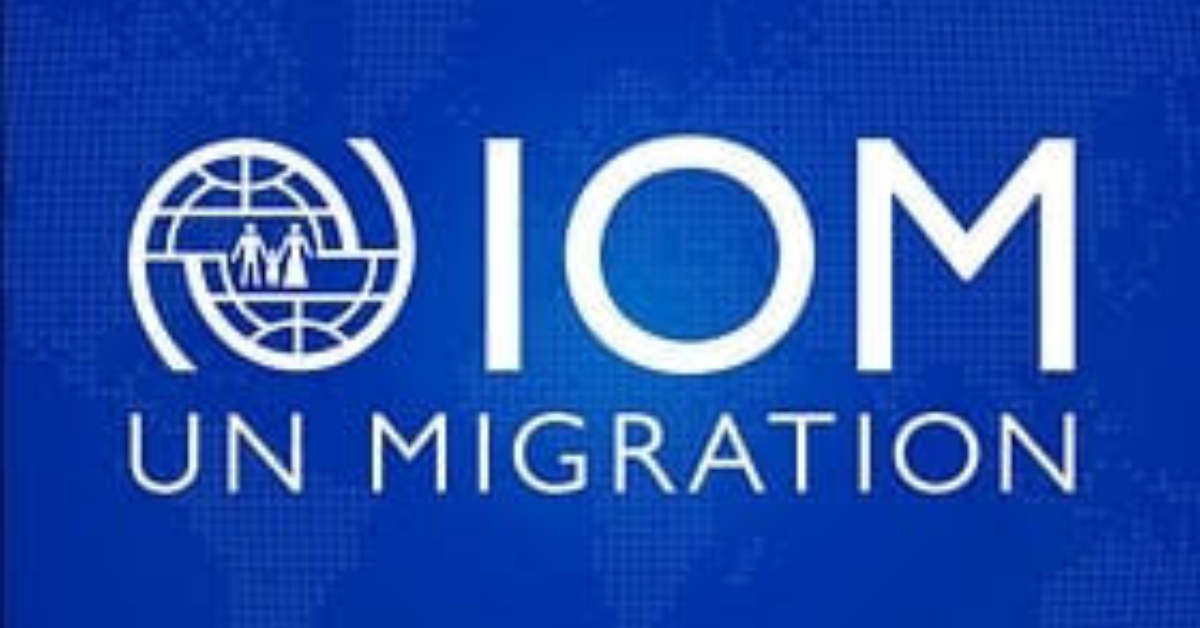 22954 Programme Officer (Immigration and Border Governance (IBG) (P)