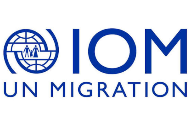 Regional Thematic Specialist (Humanitarian Response and Recovery) (P)