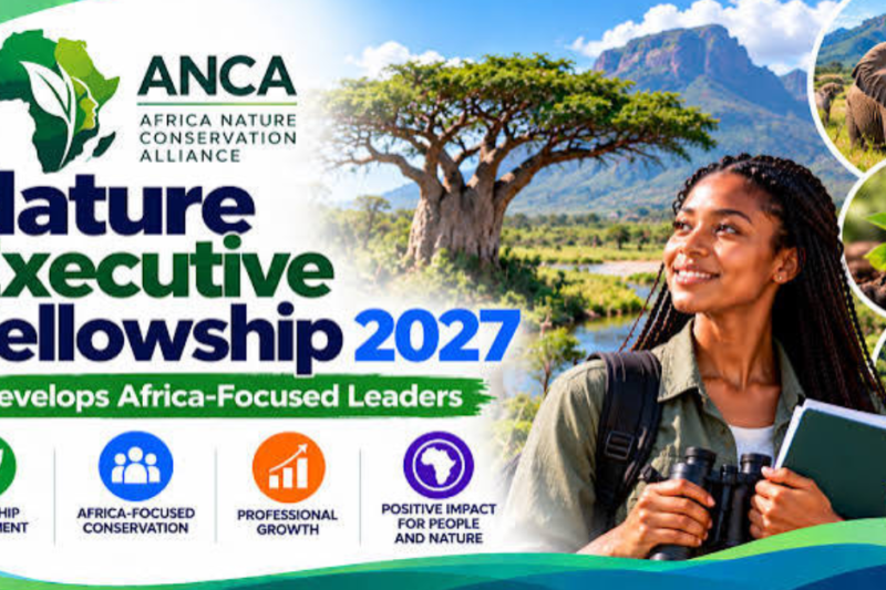 African Natural Capital Alliance Nature Executive Fellowship 2027: Applications Open for African Nature Finance Leaders