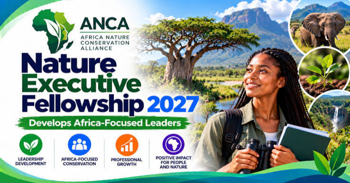 African Natural Capital Alliance Nature Executive Fellowship 2027