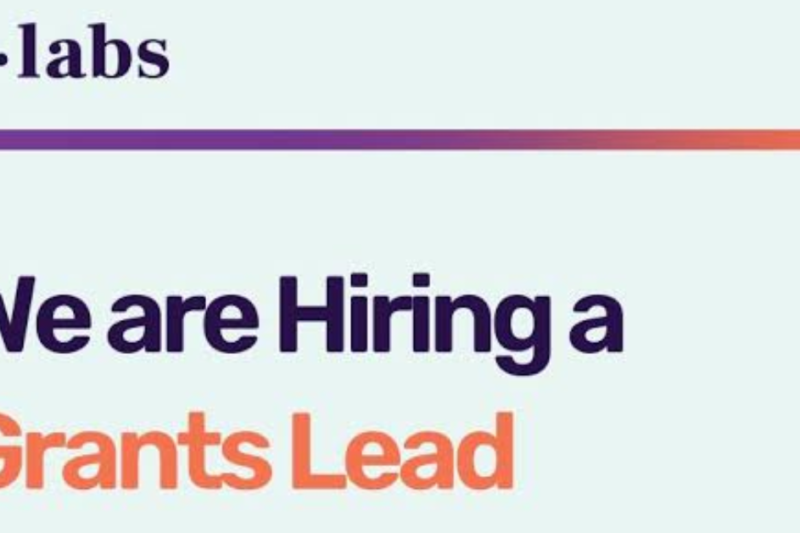 YLabs Seeks a Grants Lead: Remote Opportunity Paying Up to $55,909 Annually