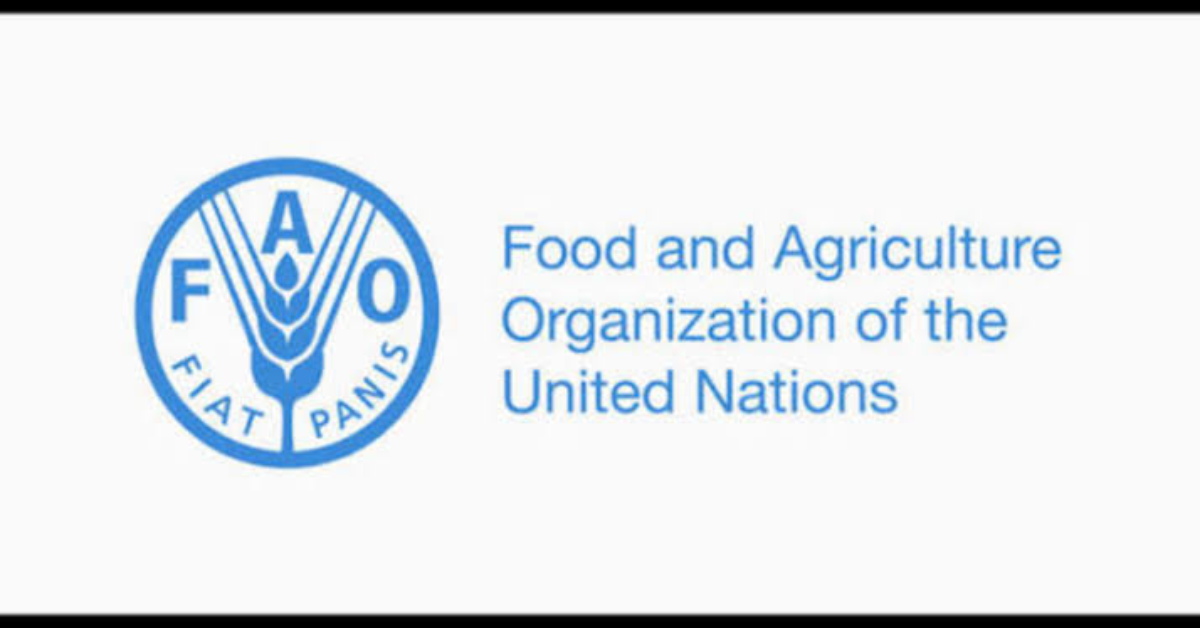 FAO is recruiting for a Young Professional Officer (Talent Outreach and Young Talent Programmes)