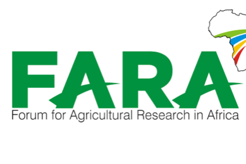 The Forum for Agricultural Research in Africa (FARA) Consultancy 2026: Consultant Wanted to Deliver a 5-Day Agricultural Innovation & Policy Training — Apply by 15 October