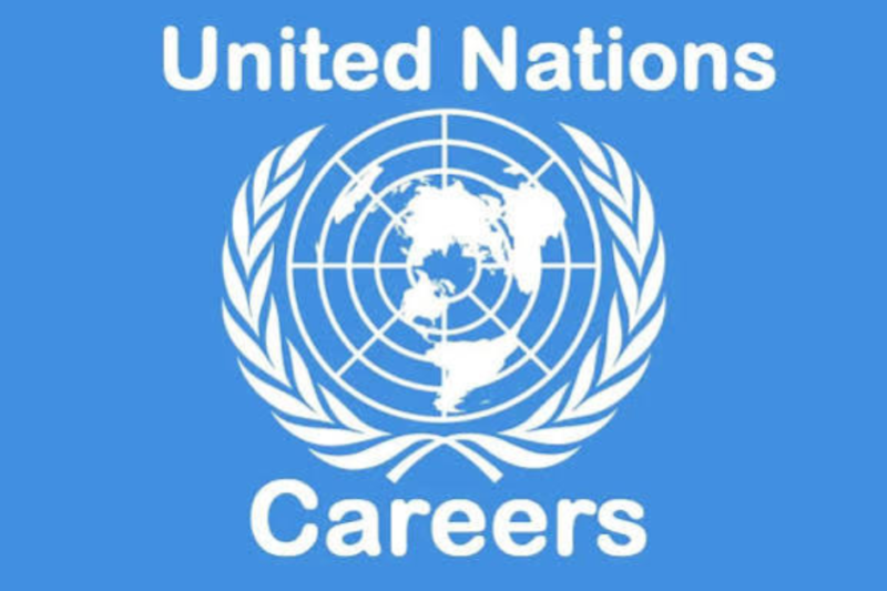UN Jobs 2026: United Nations Hiring Associate Programme Management Officer (P-2) in New York