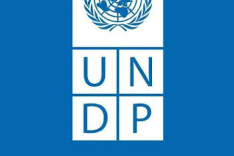 UNDP Technical Advisor Opportunity in South Africa: Apply for the IPSA-11 Position in Pretoria by October 6, 2026