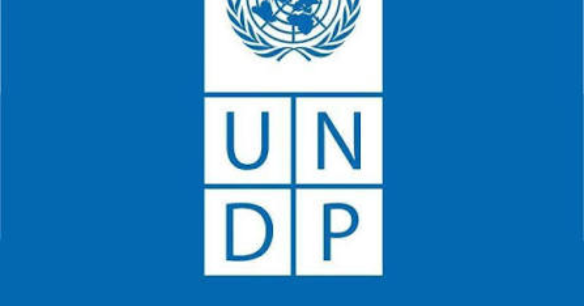 UNDP Technical Advisor Opportunity in South Africa