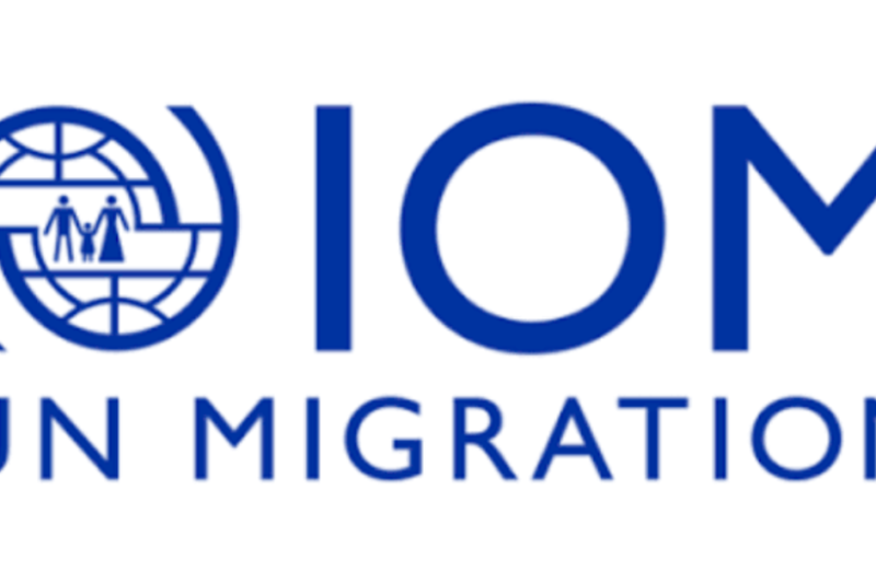 IOM Hiring 2026: Project Associate WASH Opportunity Now Open