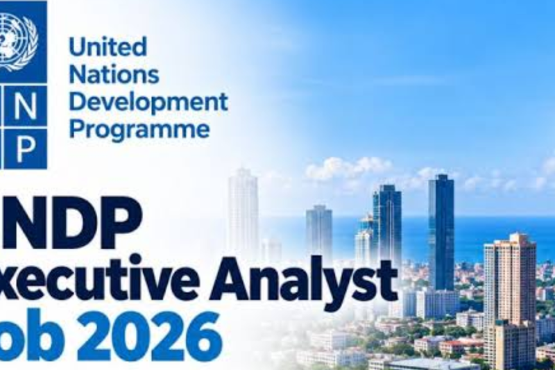 UNDP Executive Analyst Job 2026: Colombo Opportunity for Master’s and Bachelor’s Degree Holders