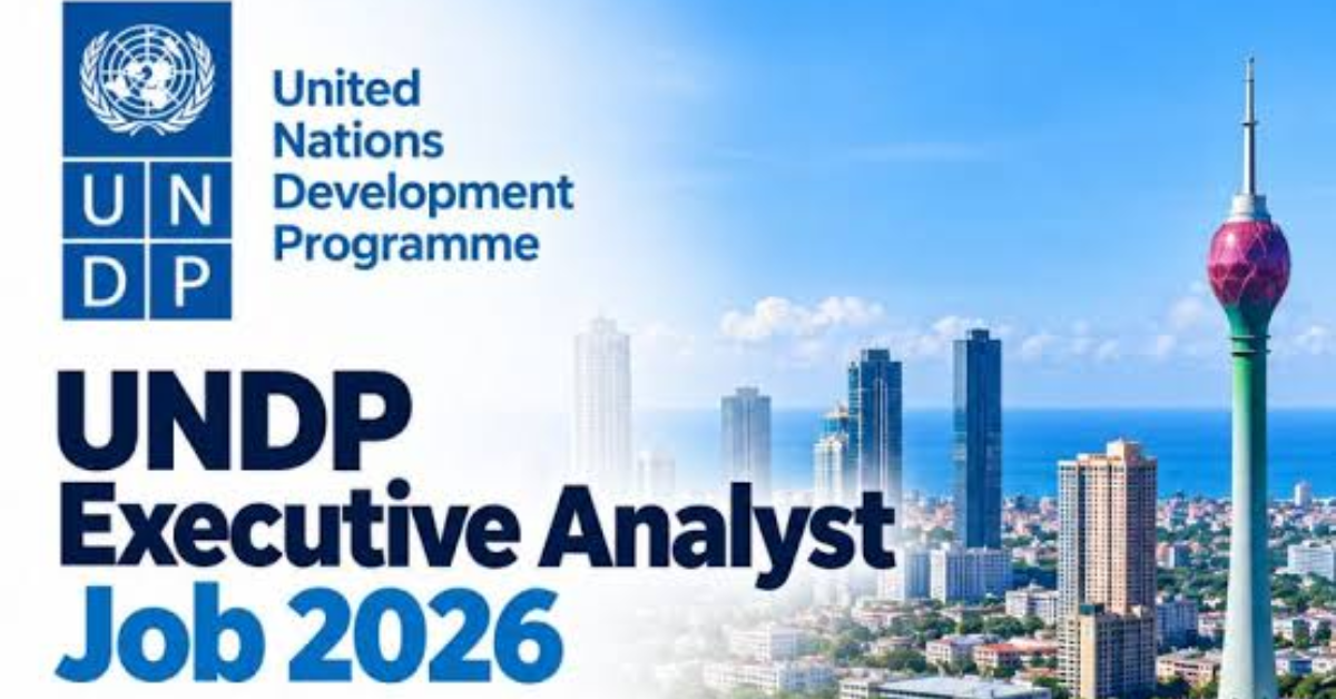 UNDP Executive Analyst Job 2026