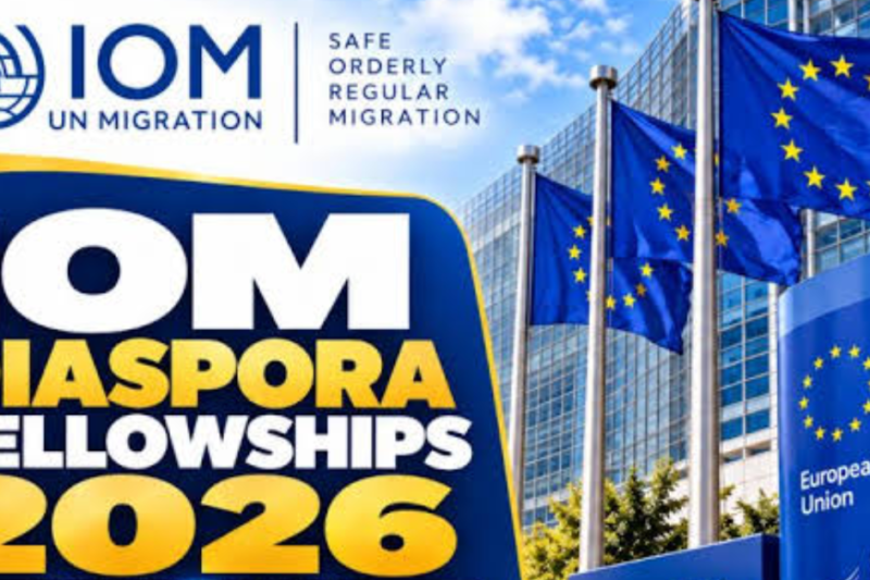 IOM Diaspora Fellowships 2026: EU Accession and Knowledge Transfer Opportunity