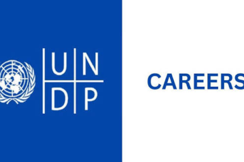 UNDP Technical Advisor Opportunity in South Africa: Apply for the IPSA-11 Position in Pretoria by October 6, 2026