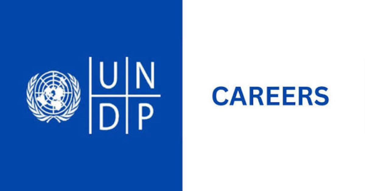 UNDP Technical Advisor Opportunity in South Africa